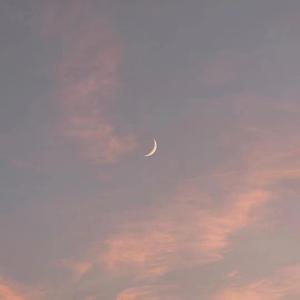 紫灵漫画官方网页入口
