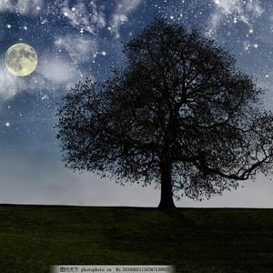 紫灵漫画官方网页入口
