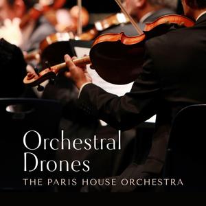 紫灵漫画官方网页入口
